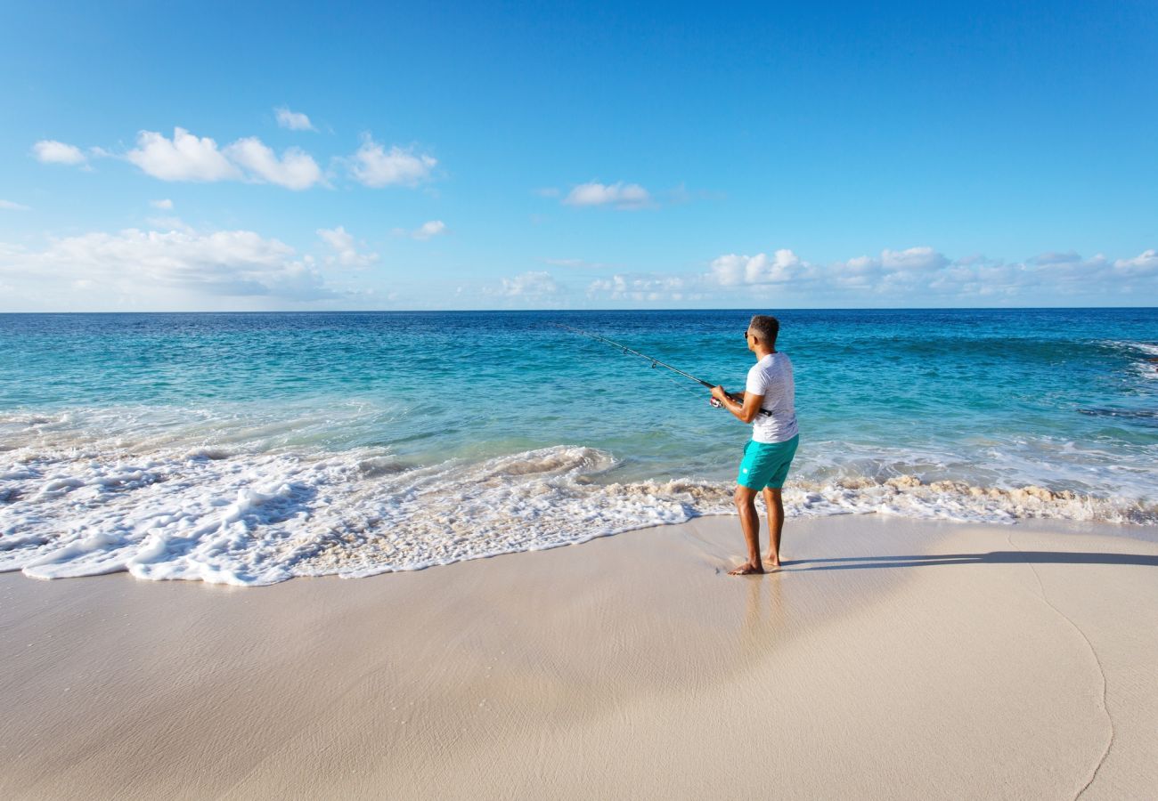 Villa in Limestone Bay - SandCastle Beach House Anguilla