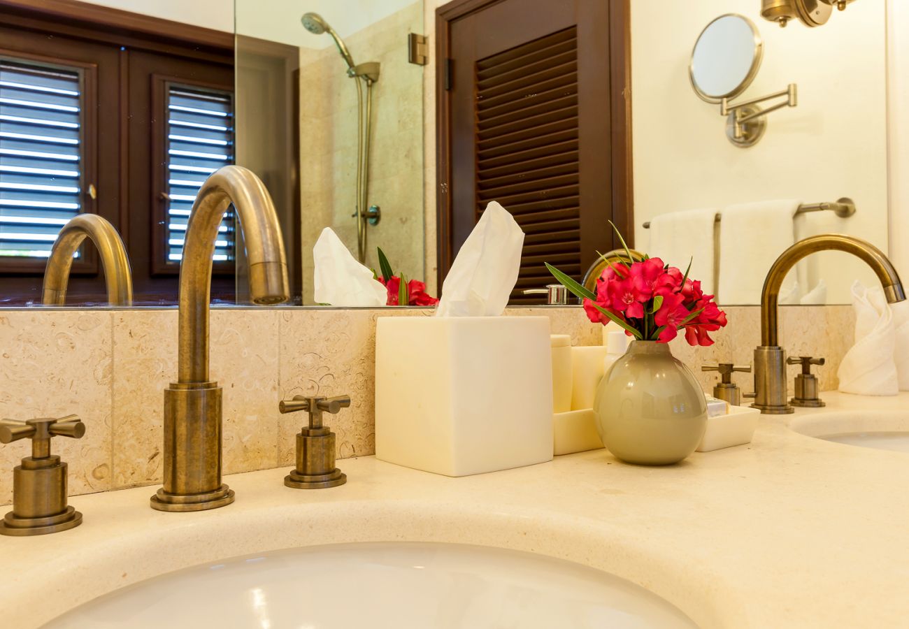 Villa in Cul du Sac - Villa Alegria Anguilla