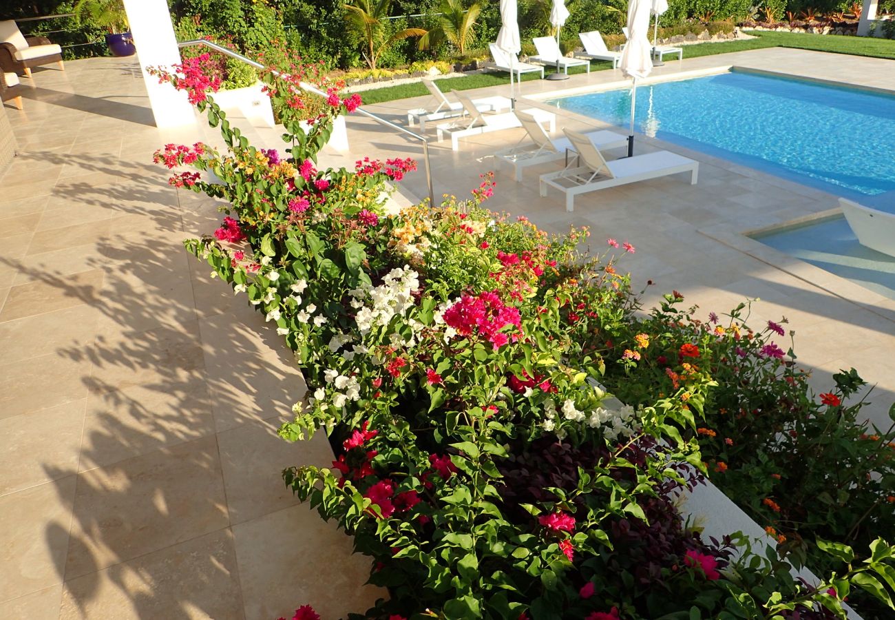 Villa in Lockrum Bay - Round Rock Villa Anguilla