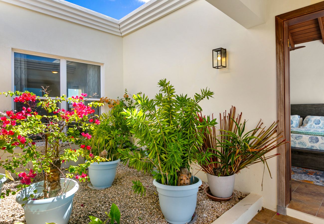 Villa in Shoal Bay East - Villa Okeanos Anguilla